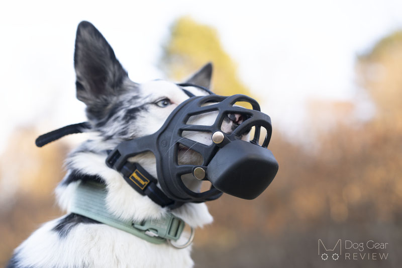Mayerzon Training Muzzle Review | Dog Gear Review