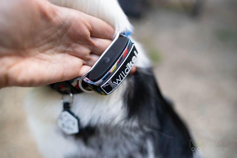 Invoxia MiniTailz Location and Health Tracker Review | Dog Gear Review