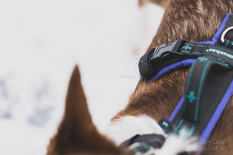 Musher Freespirit Harness Review | Dog Gear Review