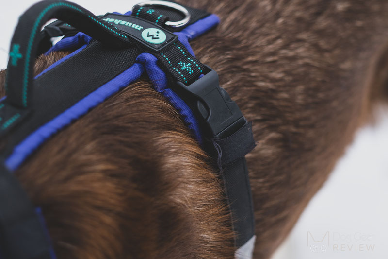 Musher Freespirit Harness Review | Dog Gear Review