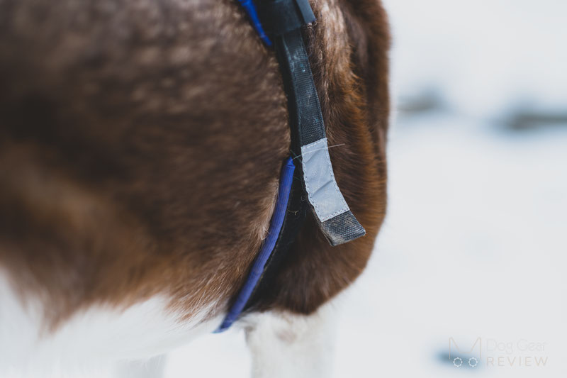 Musher Freespirit Harness Review | Dog Gear Review