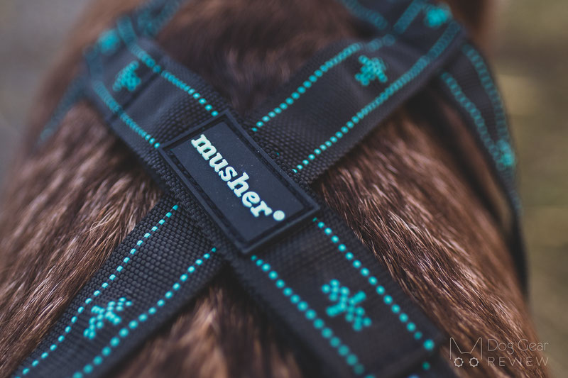 Musher Takotna Harness Review | Dog Gear Review