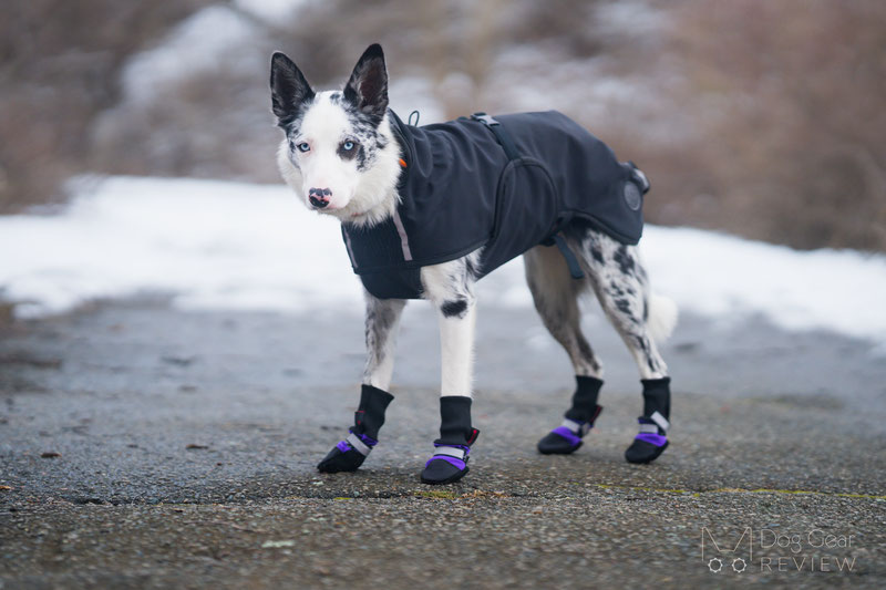 Original Fleece-Lined Muttluks Boots Review | Dog Gear Review