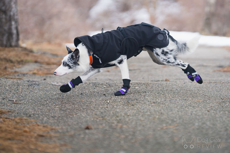 Original Fleece-Lined Muttluks Boots Review | Dog Gear Review