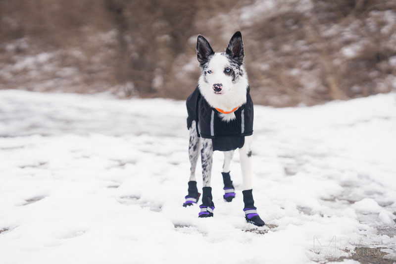 Original Fleece-Lined Muttluks Boots Review | Dog Gear Review