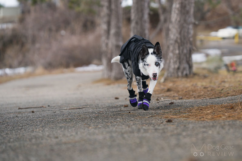 Original Fleece-Lined Muttluks Boots Review | Dog Gear Review