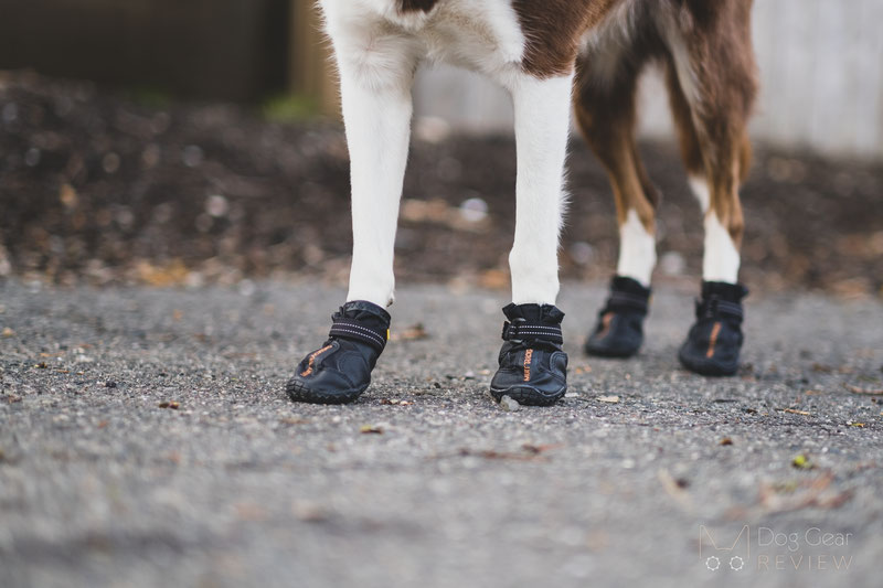 Muttluks Mutt Trackers Boots Review | Dog Gear Review