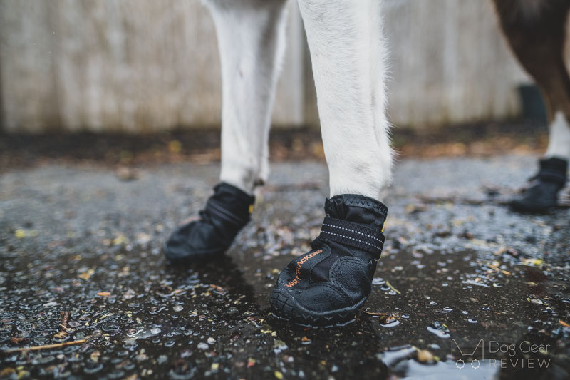 Muttluks Mutt Trackers Boots Review | Dog Gear Review