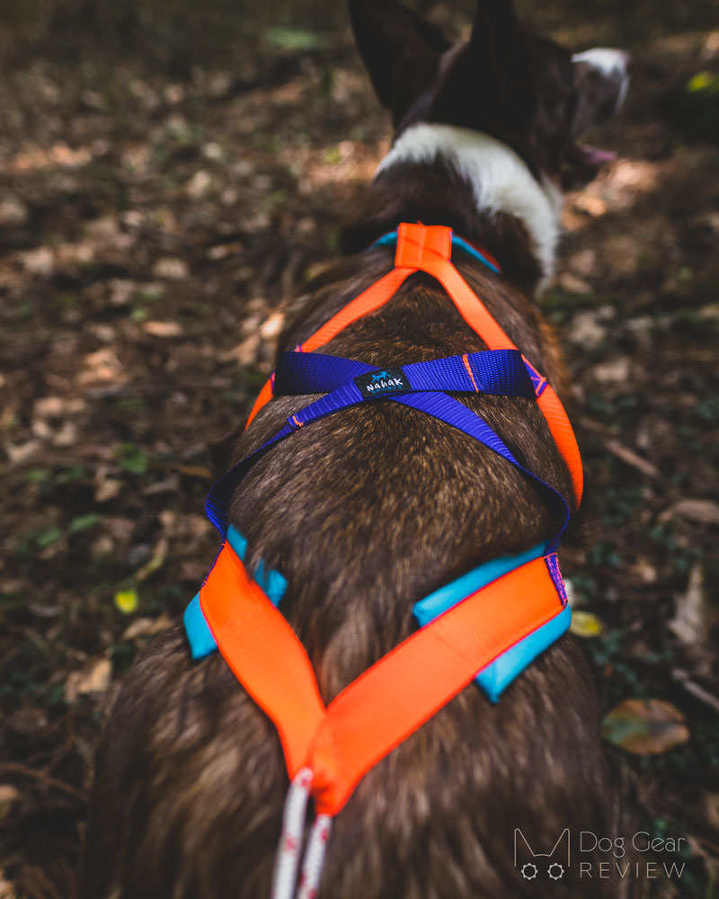 Stop dog clearance from pulling harness