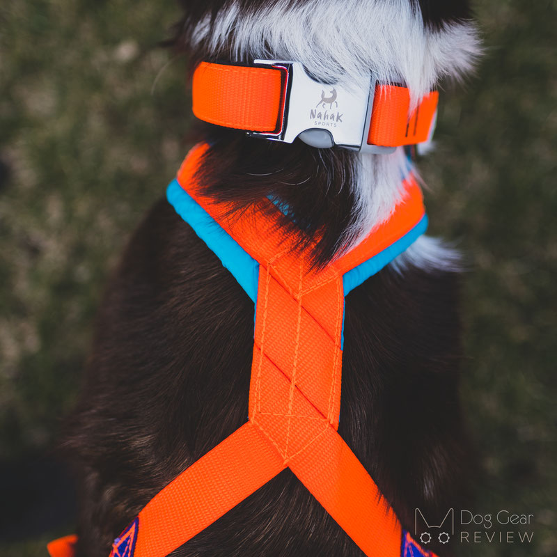 Nahak Pigma Pulling Harness Review | Dog Gear Review