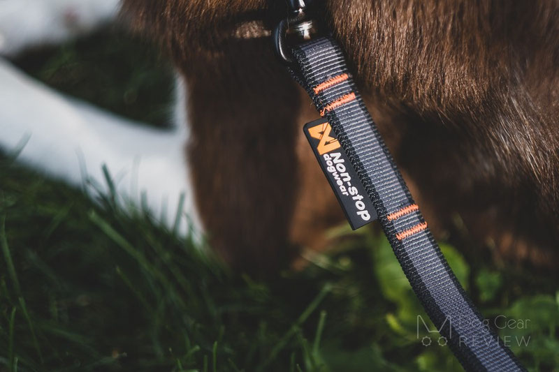 Non-stop Dogwear Touring Bungee Adjustable Leash Review | Dog Gear Review