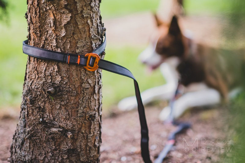 Non-stop Dogwear Touring Bungee Adjustable Leash Review | Dog Gear Review