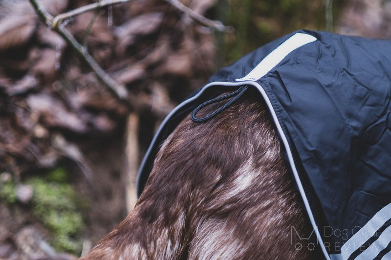 Non-stop Dogwear Black Jacket Light Review | Dog Gear Review