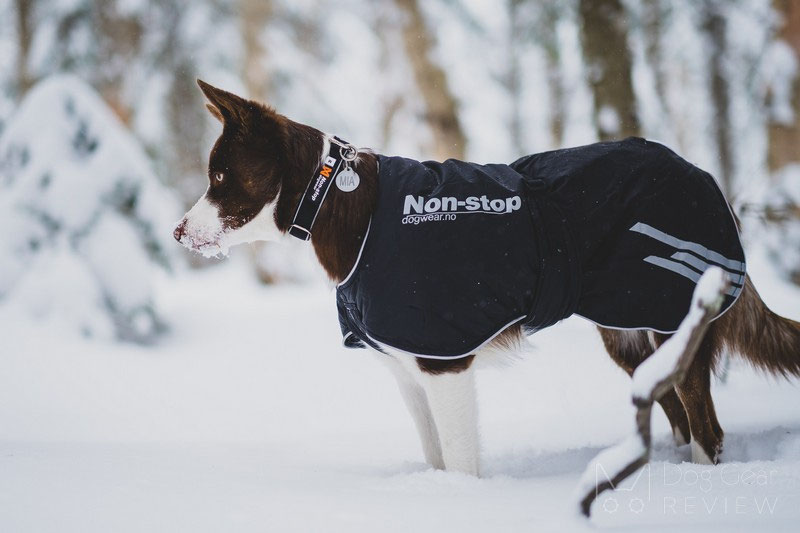 Non-stop Dogwear Black Jacket Light Review | Dog Gear Review