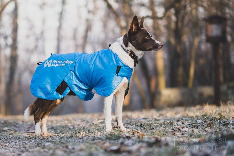 Non-stop Dogwear Blest Jacket Review | Dog Gear Review