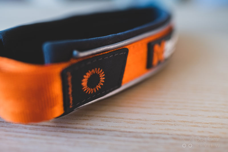 Non-stop Dogwear Cruise Collar Review | Dog Gear Review