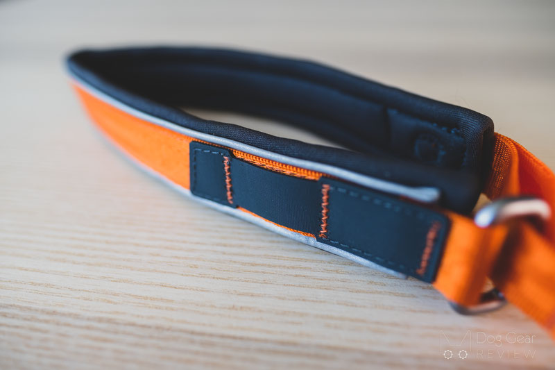 Non-stop Dogwear Cruise Collar Review | Dog Gear Review