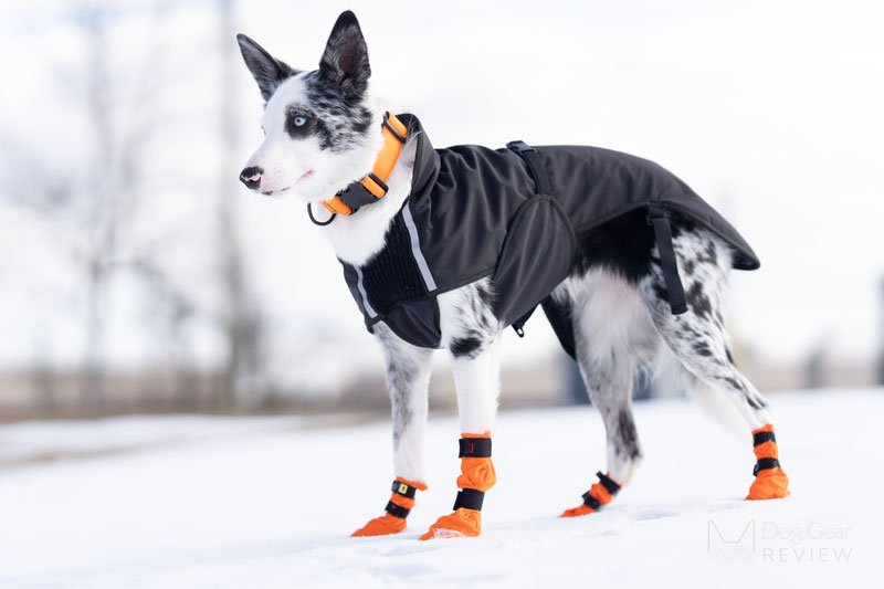 Non-stop Dogwear Contact Bootie High Review | Dog Gear Review