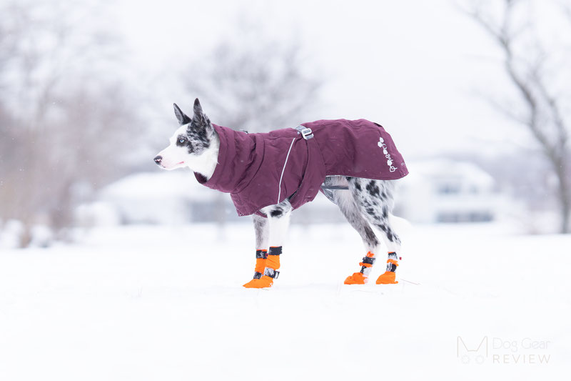 Non-stop Dogwear Contact Bootie High Review | Dog Gear Review