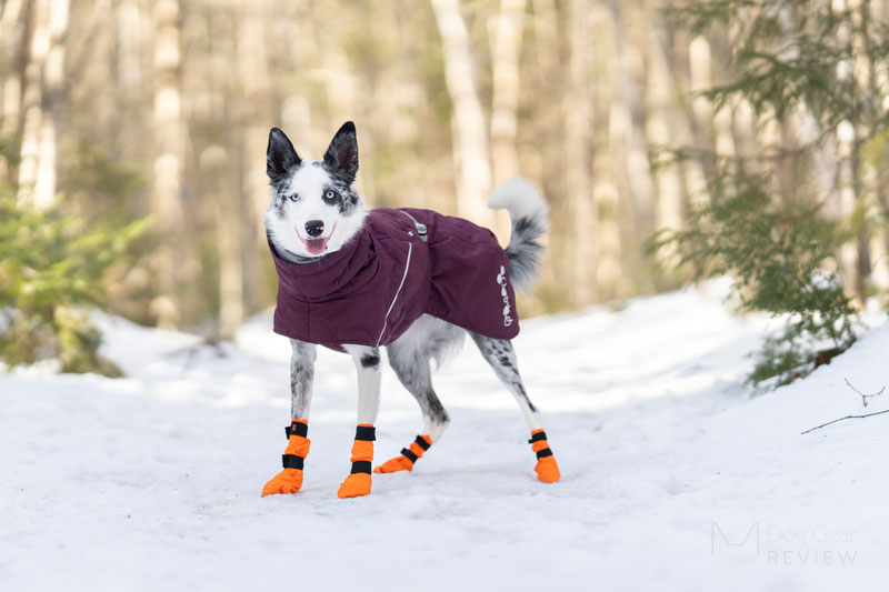 Non-stop Dogwear Contact Bootie High Review | Dog Gear Review