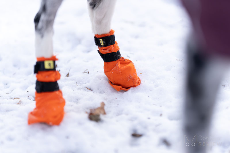 Non-stop Dogwear Contact Bootie High Review | Dog Gear Review