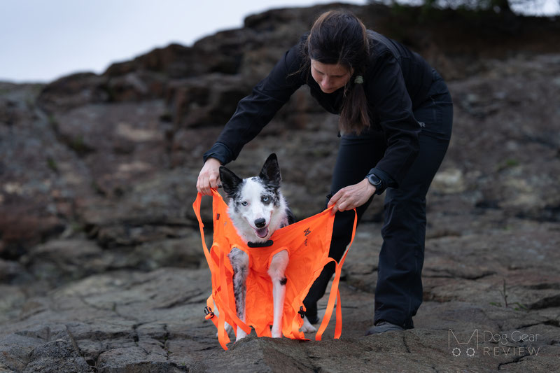 Non-Stop Dogwear Dog Rescue Sling Review | Dog Gear Review