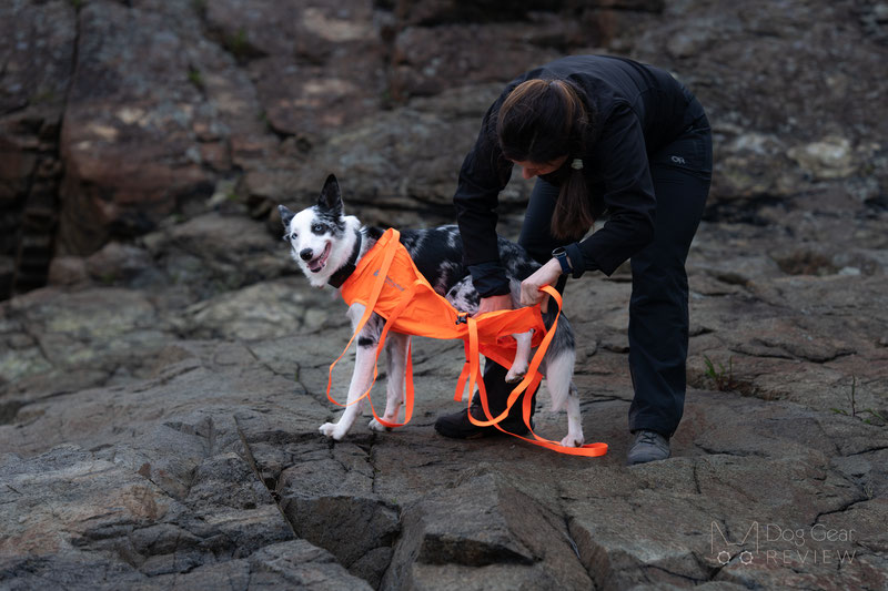 Non-Stop Dogwear Dog Rescue Sling Review | Dog Gear Review