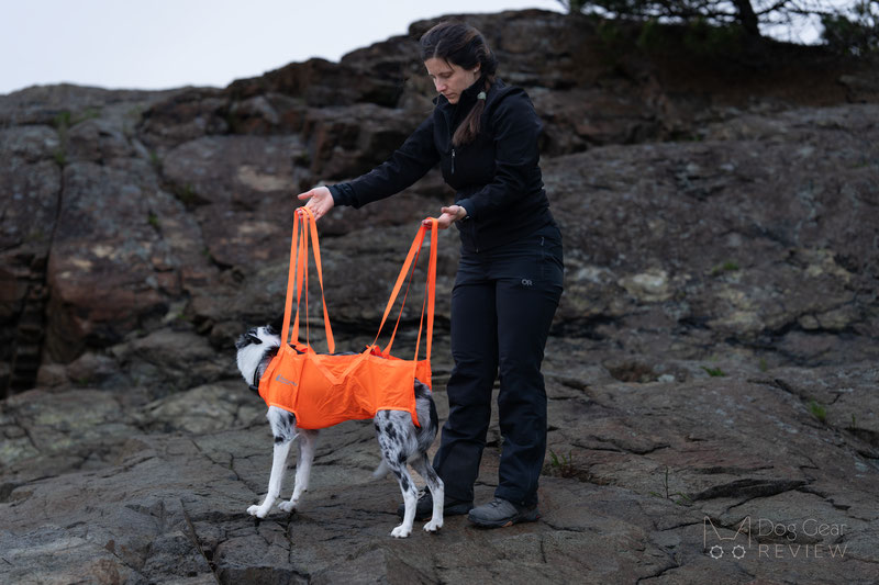 Non-Stop Dogwear Dog Rescue Sling Review | Dog Gear Review