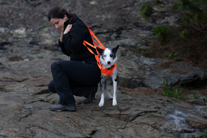 Non-Stop Dogwear Dog Rescue Sling Review | Dog Gear Review