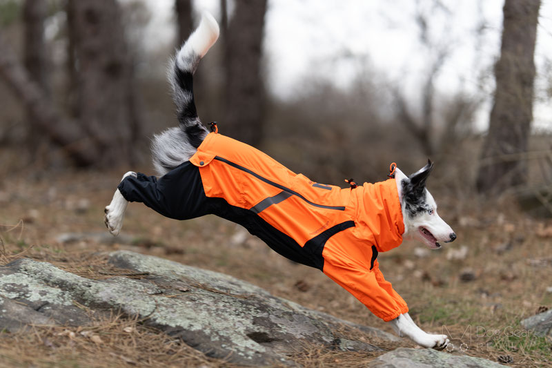 Non-Stop Dogwear Fjord Overall Review | Dog Gear Review