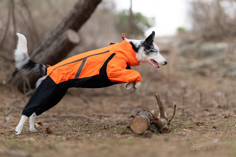 Non-Stop Dogwear Fjord Overall Review | Dog Gear Review