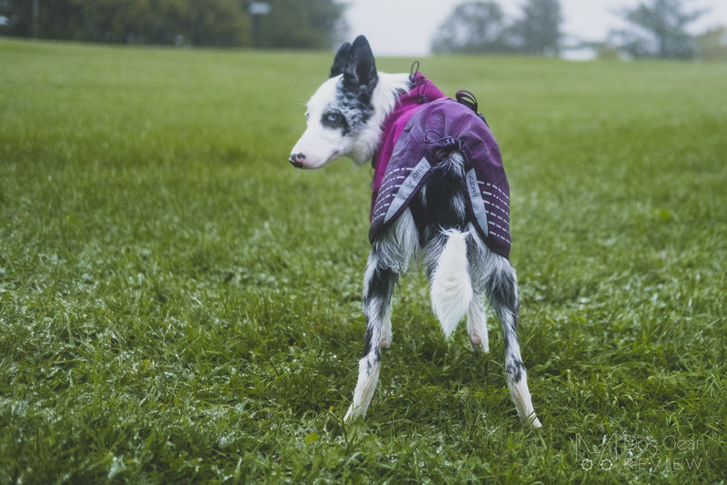 Non-Stop Dogwear Fjord Raincoat Review | Dog Gear Review