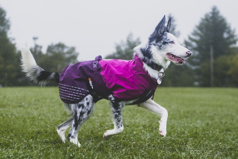 Non-Stop Dogwear Fjord Raincoat Review | Dog Gear Review