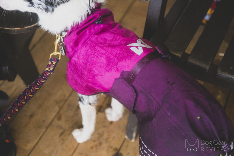 Non-Stop Dogwear Fjord Raincoat Review | Dog Gear Review