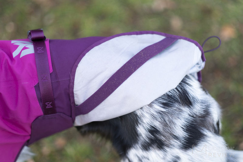 Non-Stop Dogwear Fjord Raincoat Review | Dog Gear Review