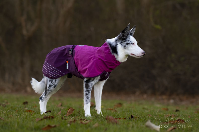 Non-Stop Dogwear Fjord Raincoat Review | Dog Gear Review