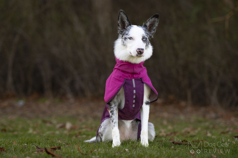 Non-Stop Dogwear Fjord Raincoat Review | Dog Gear Review