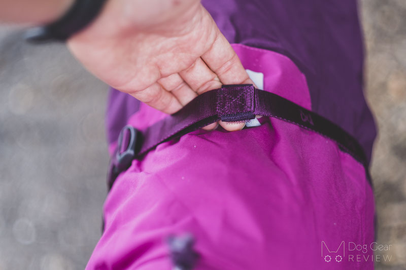 Non-Stop Dogwear Fjord Raincoat Review | Dog Gear Review