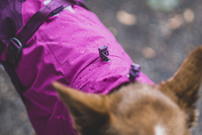 Non-Stop Dogwear Fjord Raincoat Review | Dog Gear Review