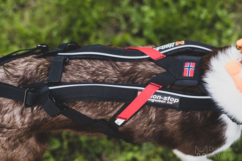 Non-stop Dogwear Freemotion Harness Review | Dog Gear Review