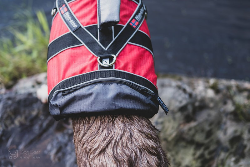 Non-stop Dogwear Safe Life Jacket Review | Dog Gear Review