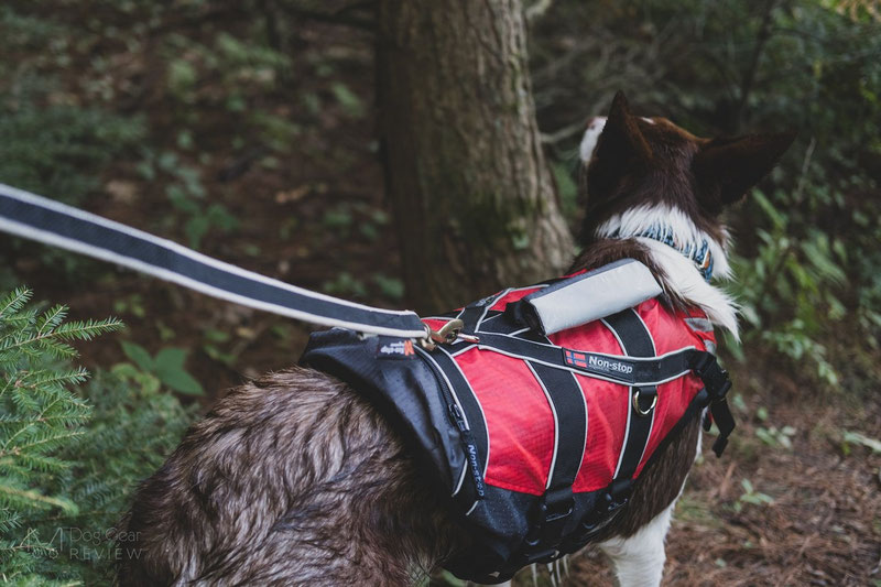 Non-stop Dogwear Safe Life Jacket Review | Dog Gear Review