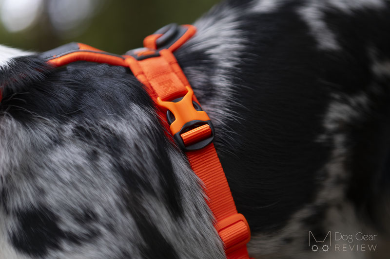 Non-stop Dogwear Line 5.0 Harness Review | Dog Gear Review