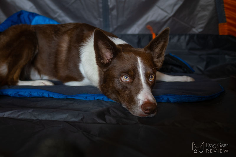 Non-stop Dogwear Ly Sleeping Bag Review | Dog Gear Review