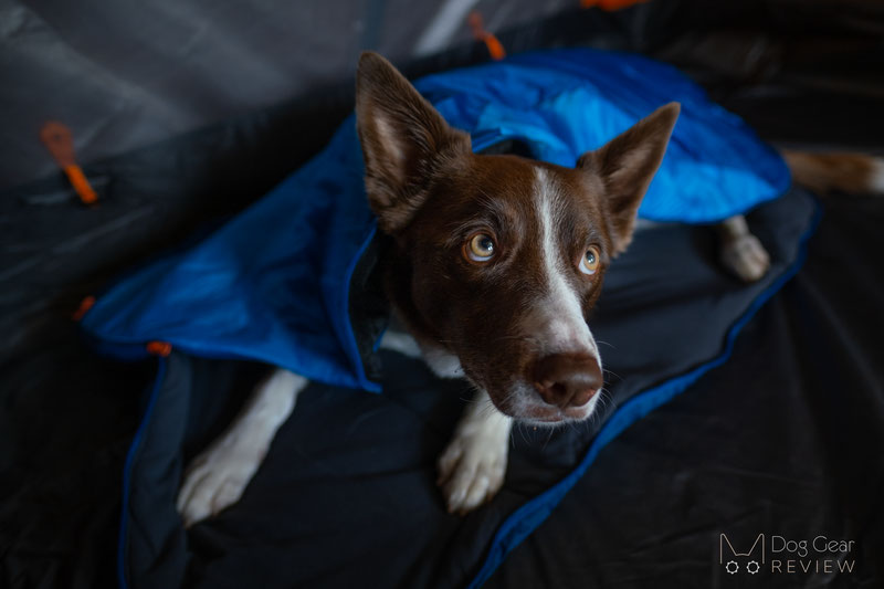 Non-stop Dogwear Ly Sleeping Bag Review | Dog Gear Review