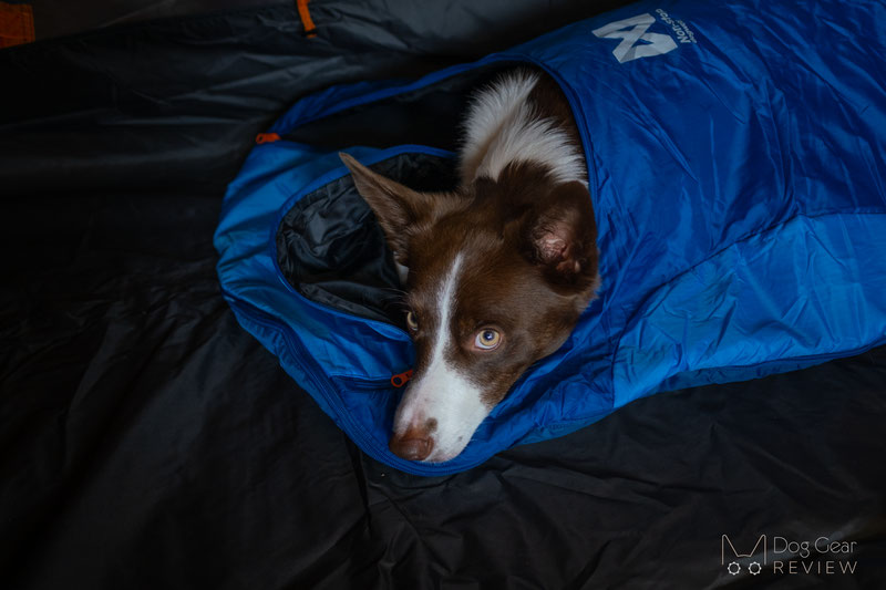 Non-stop Dogwear Ly Sleeping Bag Review | Dog Gear Review