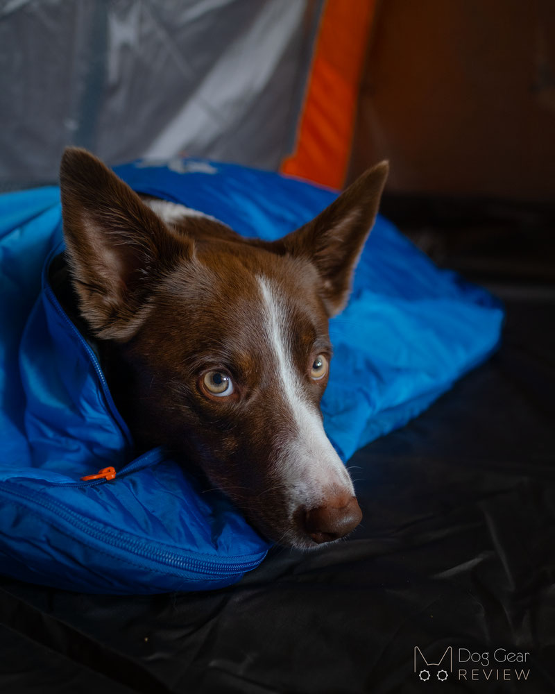 Non-stop Dogwear Ly Sleeping Bag Review | Dog Gear Review