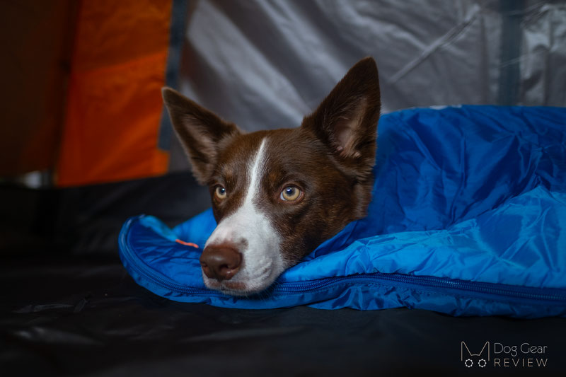 Non-stop Dogwear Ly Sleeping Bag Review | Dog Gear Review