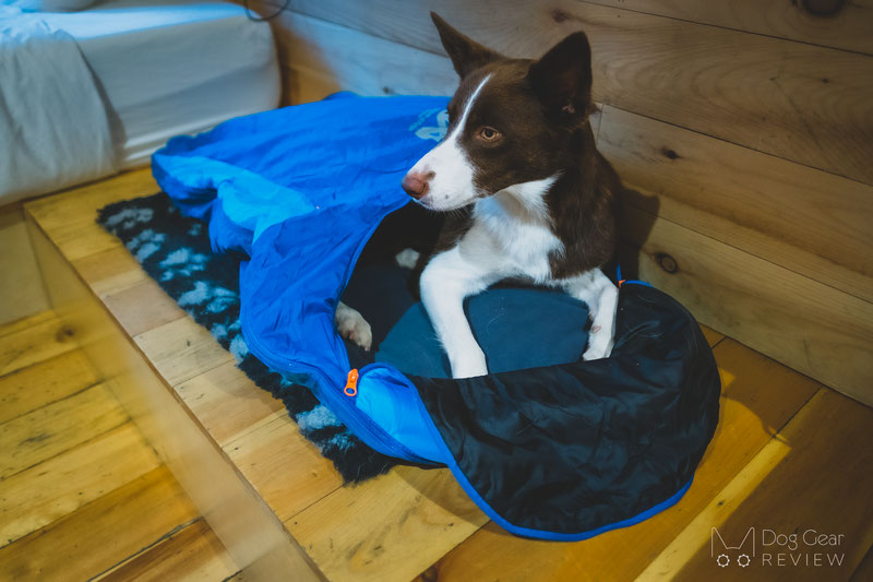 Non-stop Dogwear Ly Sleeping Bag Review | Dog Gear Review