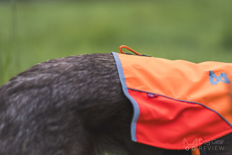 Non-stop Dogwear Protector Vest Review | Dog Gear Review